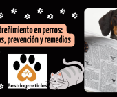 Estreñimiento en perros: Causas, prevención y remedios